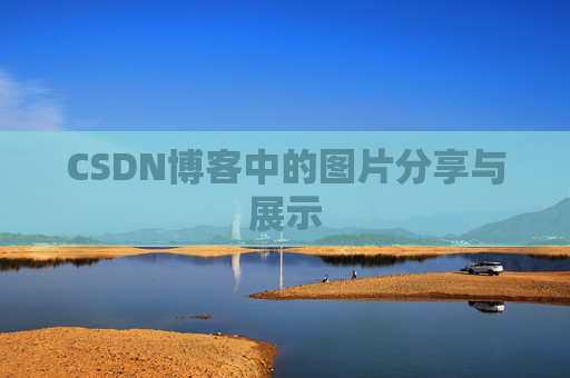CSDN博客中的图片分享与展示